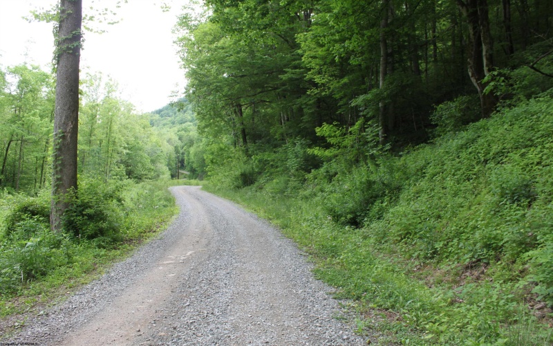 390 Big Sycamore Road, Webster Springs, West Virginia 26288, ,Lots/land,For Sale,Big Sycamore,10165058