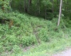 390 Big Sycamore Road, Webster Springs, West Virginia 26288, ,Lots/land,For Sale,Big Sycamore,10165058
