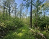 Tract A John Orr Road, Independence, West Virginia 26374, ,Lots/land,For Sale,John Orr,10165046