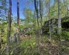 Tract A John Orr Road, Independence, West Virginia 26374, ,Lots/land,For Sale,John Orr,10165046