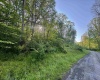 Tract A John Orr Road, Independence, West Virginia 26374, ,Lots/land,For Sale,John Orr,10165046