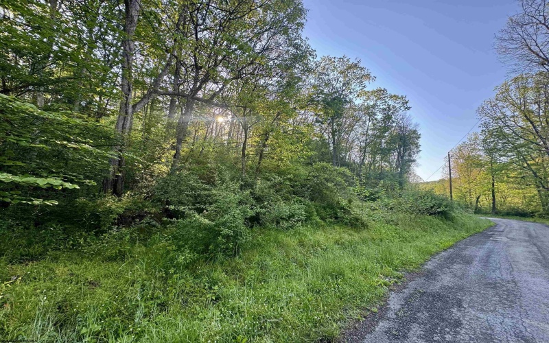 Tract A John Orr Road, Independence, West Virginia 26374, ,Lots/land,For Sale,John Orr,10165046