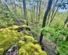 Tract A John Orr Road, Independence, West Virginia 26374, ,Lots/land,For Sale,John Orr,10165046