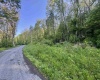 Tract A John Orr Road, Independence, West Virginia 26374, ,Lots/land,For Sale,John Orr,10165046