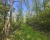 Tract A John Orr Road, Independence, West Virginia 26374, ,Lots/land,For Sale,John Orr,10165046