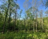Tract A John Orr Road, Independence, West Virginia 26374, ,Lots/land,For Sale,John Orr,10165046