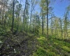 Tract A John Orr Road, Independence, West Virginia 26374, ,Lots/land,For Sale,John Orr,10165046