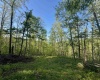 Tract A John Orr Road, Independence, West Virginia 26374, ,Lots/land,For Sale,John Orr,10165046