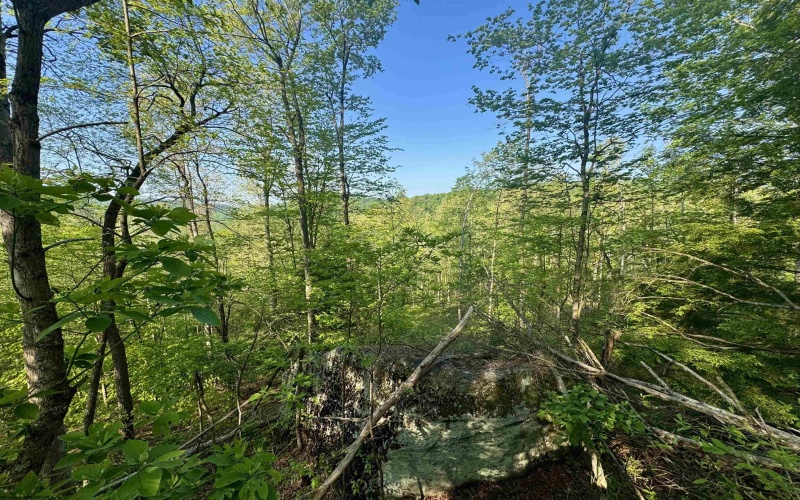 Tract A John Orr Road, Independence, West Virginia 26374, ,Lots/land,For Sale,John Orr,10165046