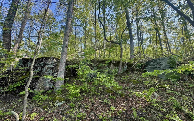 Tract A John Orr Road, Independence, West Virginia 26374, ,Lots/land,For Sale,John Orr,10165046