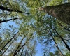 Tract A John Orr Road, Independence, West Virginia 26374, ,Lots/land,For Sale,John Orr,10165046