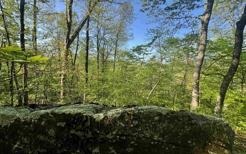 Tract A John Orr Road, Independence, West Virginia 26374, ,Lots/land,For Sale,John Orr,10165046