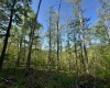 Tract A John Orr Road, Independence, West Virginia 26374, ,Lots/land,For Sale,John Orr,10165046
