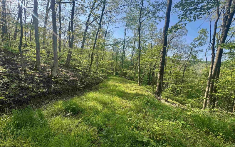 Tract A John Orr Road, Independence, West Virginia 26374, ,Lots/land,For Sale,John Orr,10165046