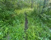 Tract A John Orr Road, Independence, West Virginia 26374, ,Lots/land,For Sale,John Orr,10165046