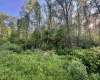 Tract A John Orr Road, Independence, West Virginia 26374, ,Lots/land,For Sale,John Orr,10165046