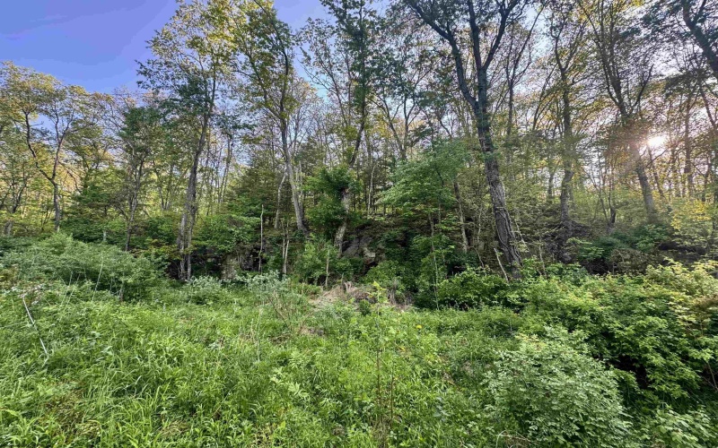 Tract A John Orr Road, Independence, West Virginia 26374, ,Lots/land,For Sale,John Orr,10165046