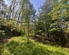 Tract A John Orr Road, Independence, West Virginia 26374, ,Lots/land,For Sale,John Orr,10165046