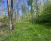 Tract A John Orr Road, Independence, West Virginia 26374, ,Lots/land,For Sale,John Orr,10165046