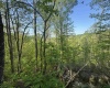 Tract A John Orr Road, Independence, West Virginia 26374, ,Lots/land,For Sale,John Orr,10165046