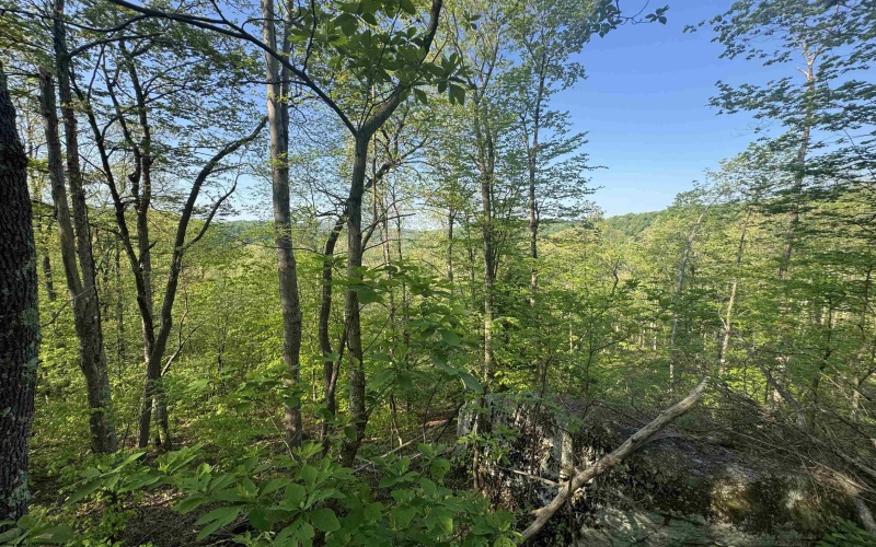 Tract A John Orr Road, Independence, West Virginia 26374, ,Lots/land,For Sale,John Orr,10165046