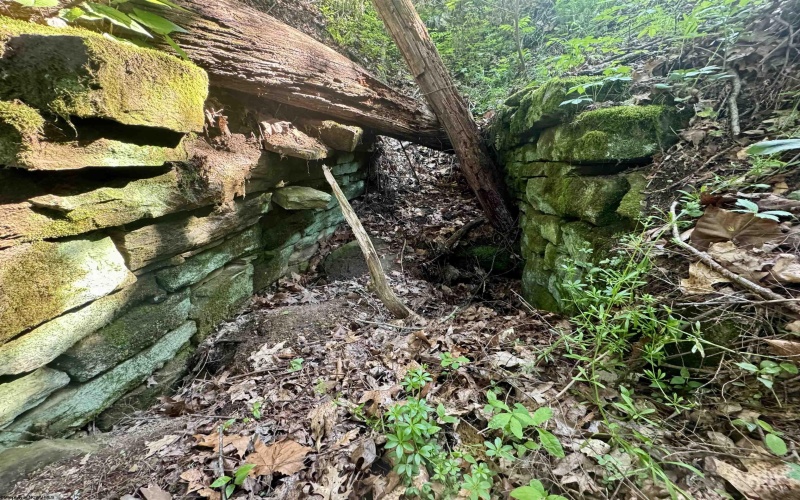 Tract A John Orr Road, Independence, West Virginia 26374, ,Lots/land,For Sale,John Orr,10165046