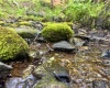 Tract A John Orr Road, Independence, West Virginia 26374, ,Lots/land,For Sale,John Orr,10165046