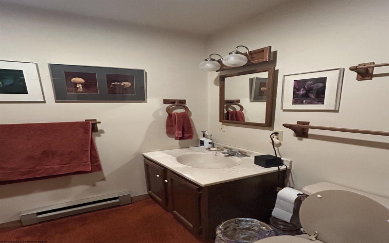 41 Snowflake Circle, Davis, West Virginia 26260, 2 Bedrooms Bedrooms, 6 Rooms Rooms,2 BathroomsBathrooms,Single Family Attached,For Sale,Snowflake,10165071