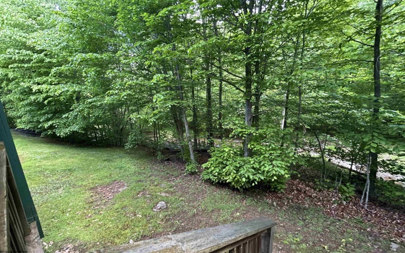 41 Snowflake Circle, Davis, West Virginia 26260, 2 Bedrooms Bedrooms, 6 Rooms Rooms,2 BathroomsBathrooms,Single Family Attached,For Sale,Snowflake,10165071