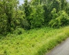 499 Harner Street, Morgantown, West Virginia 26501, ,Lots/land,For Sale,Harner,10165080