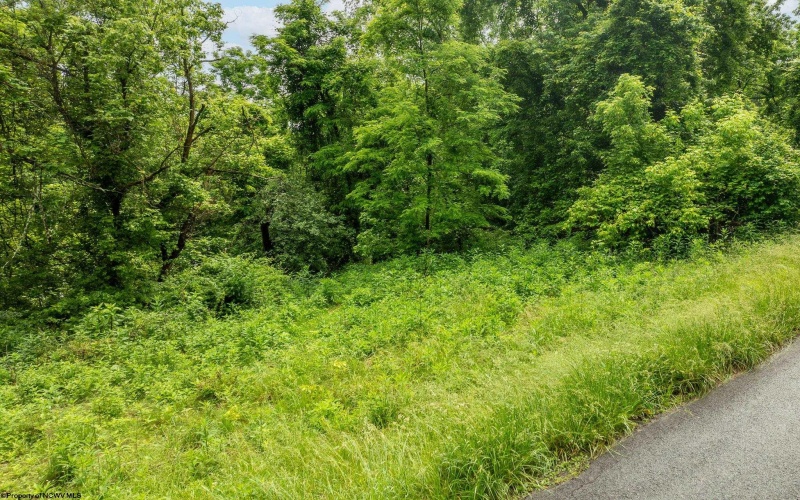 499 Harner Street, Morgantown, West Virginia 26501, ,Lots/land,For Sale,Harner,10165080