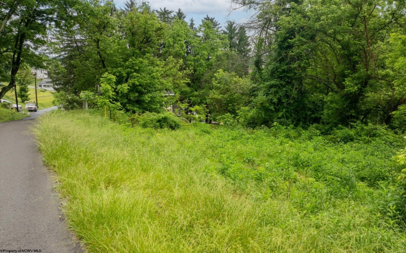 499 Harner Street, Morgantown, West Virginia 26501, ,Lots/land,For Sale,Harner,10165080