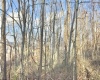381 WEST HILL Road, Grafton, West Virginia 26354, ,Lots/land,For Sale,WEST HILL,10162724