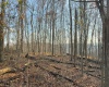 381 WEST HILL Road, Grafton, West Virginia 26354, ,Lots/land,For Sale,WEST HILL,10162724