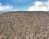 381 WEST HILL Road, Grafton, West Virginia 26354, ,Lots/land,For Sale,WEST HILL,10162724