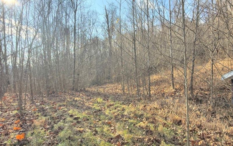 381 WEST HILL Road, Grafton, West Virginia 26354, ,Lots/land,For Sale,WEST HILL,10162724