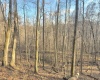 381 WEST HILL Road, Grafton, West Virginia 26354, ,Lots/land,For Sale,WEST HILL,10162724