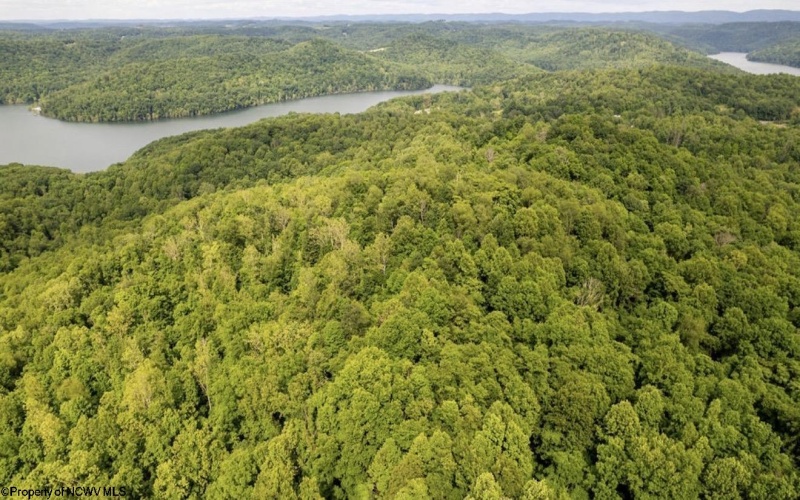 381 WEST HILL Road, Grafton, West Virginia 26354, ,Lots/land,For Sale,WEST HILL,10162724