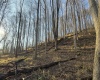 381 WEST HILL Road, Grafton, West Virginia 26354, ,Lots/land,For Sale,WEST HILL,10162724