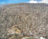 381 WEST HILL Road, Grafton, West Virginia 26354, ,Lots/land,For Sale,WEST HILL,10162724