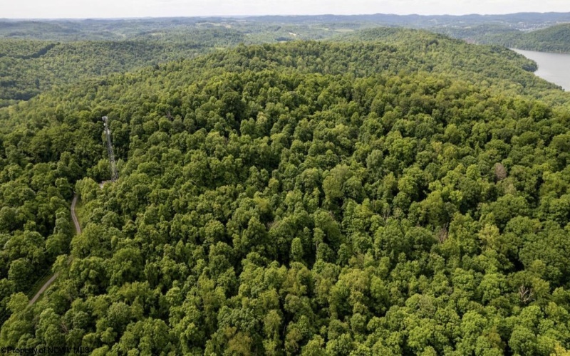 381 WEST HILL Road, Grafton, West Virginia 26354, ,Lots/land,For Sale,WEST HILL,10162724