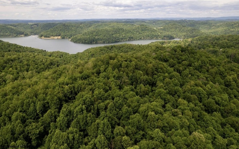 381 WEST HILL Road, Grafton, West Virginia 26354, ,Lots/land,For Sale,WEST HILL,10162724