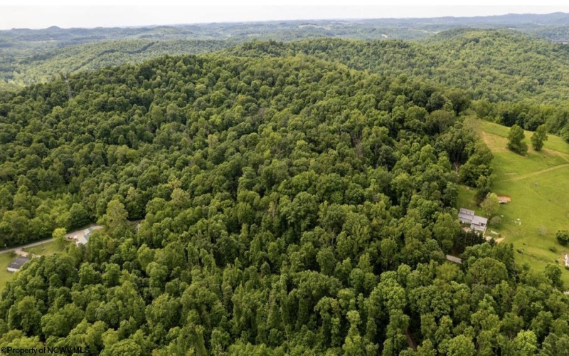 381 WEST HILL Road, Grafton, West Virginia 26354, ,Lots/land,For Sale,WEST HILL,10162724