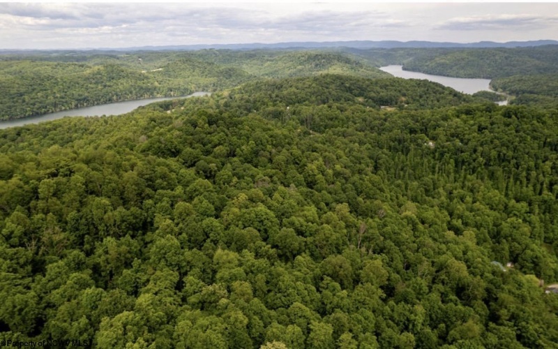 381 WEST HILL Road, Grafton, West Virginia 26354, ,Lots/land,For Sale,WEST HILL,10162724