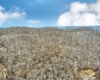 381 WEST HILL Road, Grafton, West Virginia 26354, ,Lots/land,For Sale,WEST HILL,10162724