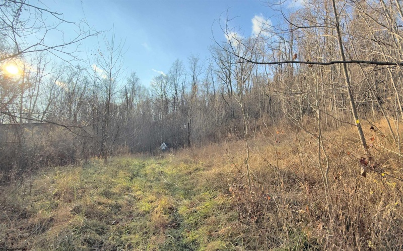 381 WEST HILL Road, Grafton, West Virginia 26354, ,Lots/land,For Sale,WEST HILL,10162724