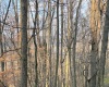 381 WEST HILL Road, Grafton, West Virginia 26354, ,Lots/land,For Sale,WEST HILL,10162724