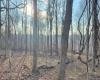 381 WEST HILL Road, Grafton, West Virginia 26354, ,Lots/land,For Sale,WEST HILL,10162724