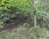Lots 92 and 93 Gondola Court, Davis, West Virginia 26260, ,Lots/land,For Sale,Gondola,10165112