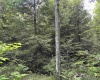 Lots 92 and 93 Gondola Court, Davis, West Virginia 26260, ,Lots/land,For Sale,Gondola,10165112